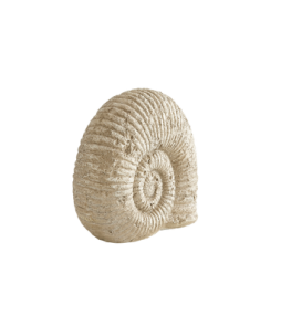 KEARNY-koriste Luonnonvalkoinen