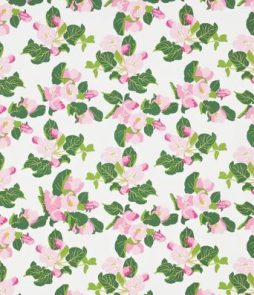 ROSEHIP-kangas Roosa