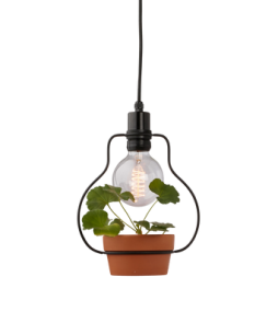 SEVILLA-kattovalaisin, jossa ruukku Musta