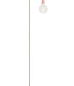 ENGLAND-lattiavalaisin Roosa