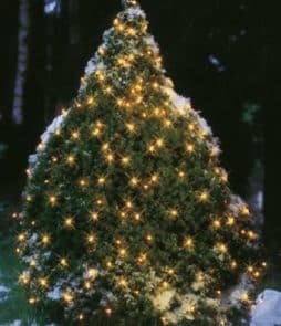 RUT-valoverkko 2x3 m Kirkas