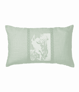GUSTAVIA-pitsityynynpäällinen 50x30 cm Vaaleanvihreä/valkoinen