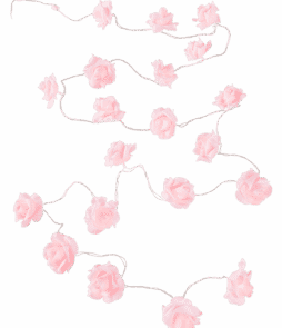 ROSIE-valoköynnös Roosa