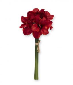 Amaryllis, Amaryllis, Hemtex