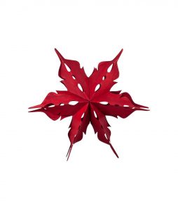 Bc Vener Ø30cm Decoration Star, Joulunpunainen, 30x30cm, Broste Copenhagen