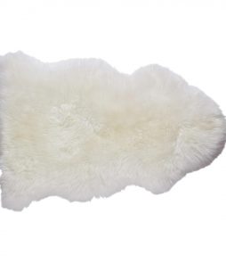 Lampaantaljajäljitelmä, Dolly,